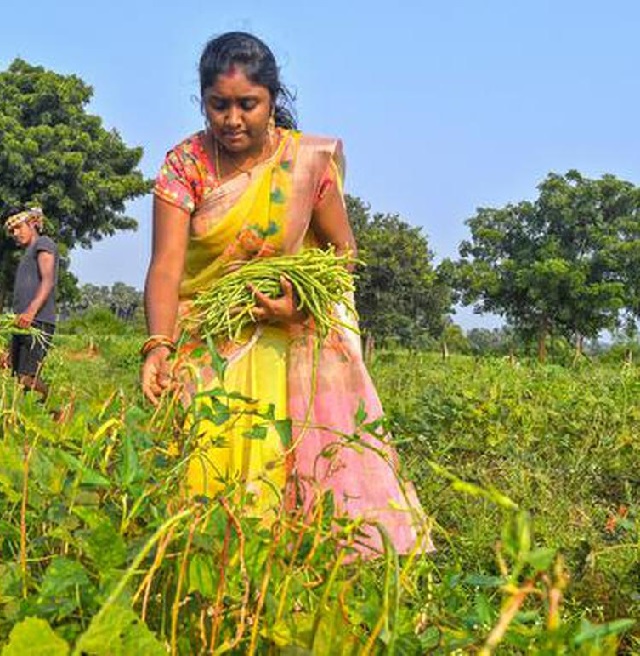 Empowering Women Farmers: Tree of Life Centre Foundation