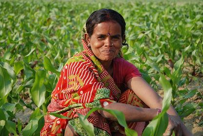 image 4 Contract farming its impact on women farmers in India.