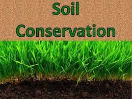ss2 Save Soil
