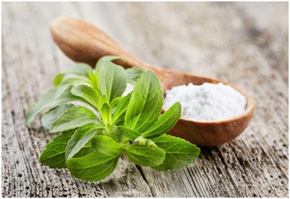 stevia growing is done in india