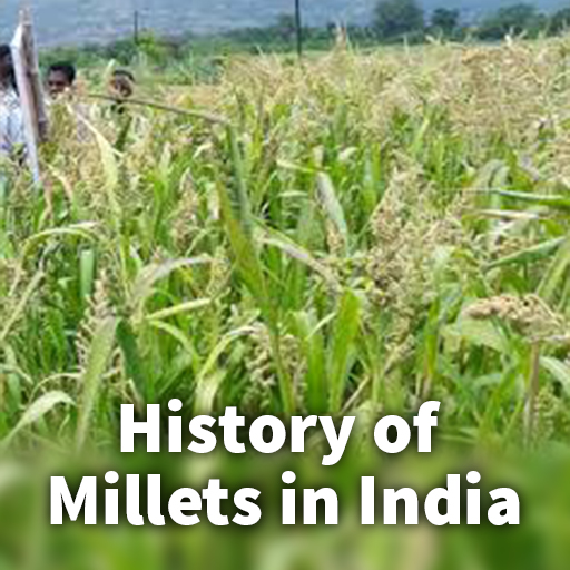 History of Millets in India