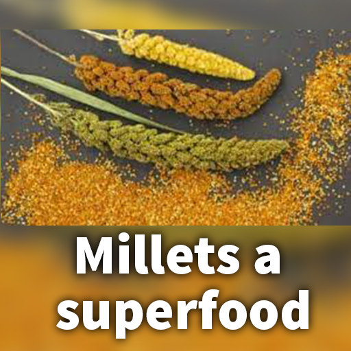Millets a superfood 1