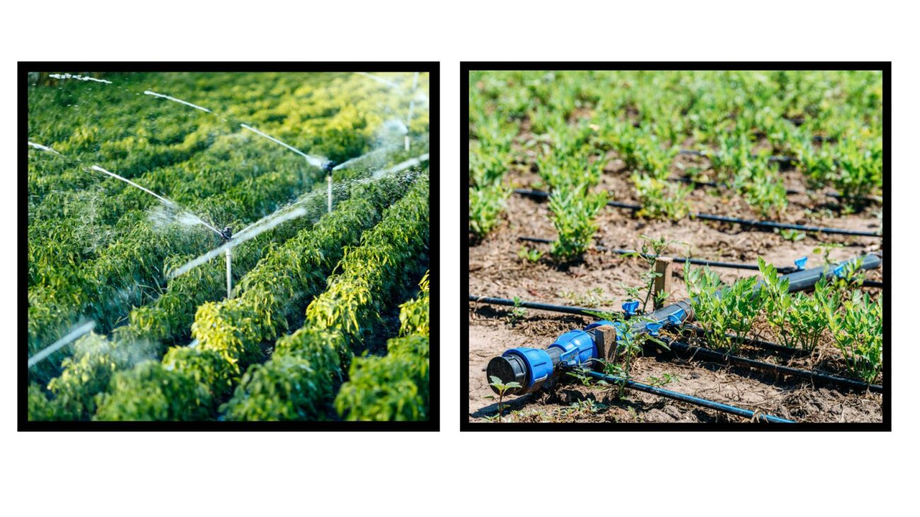 Automated Irrigation Systems in India 2024