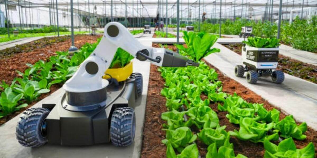 Benefits of Agricultural Robotics in Planting