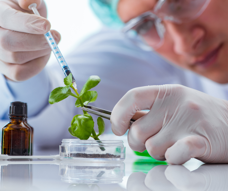 Biotechnology Biotechnology in Indian Agriculture:
