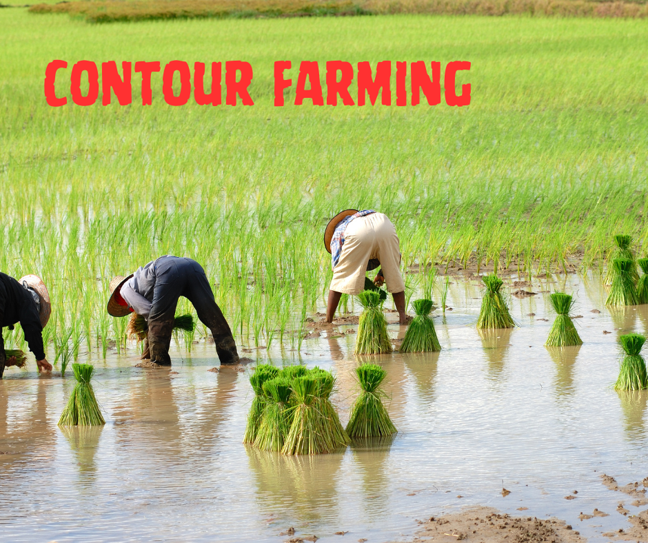 Contour Farming Contour Farming in India