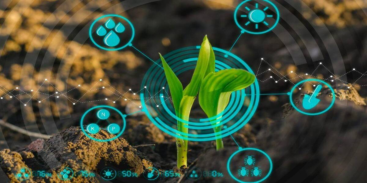 Enhanced Crop Protection Transforming Indian Agriculture: The Pivotal Role of Artificial Intelligence in Disease and Pest Detection