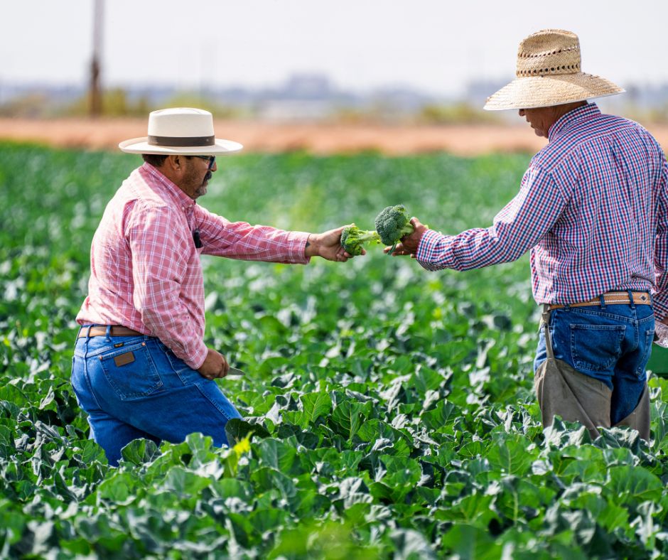 Farming 7 Reasons Why You Should Invest in Farming.