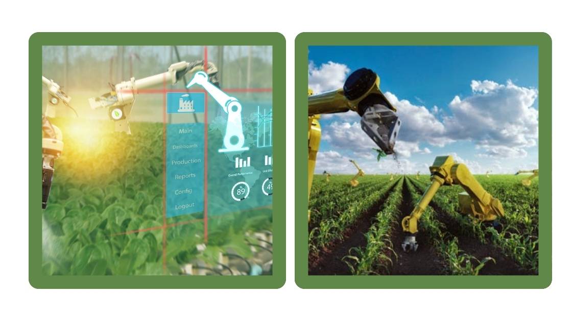 The Future Prospects of IoT In Agriculture