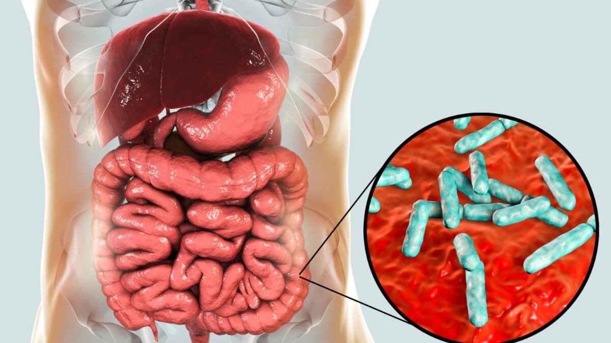 Gut Microbiome Is Millet Good for Microbiome Balance?