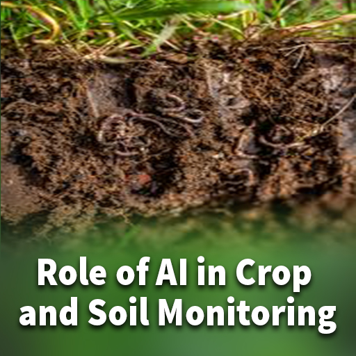 Harnessing the Power of Artificial Intelligence in Crop and Soil Monitoring