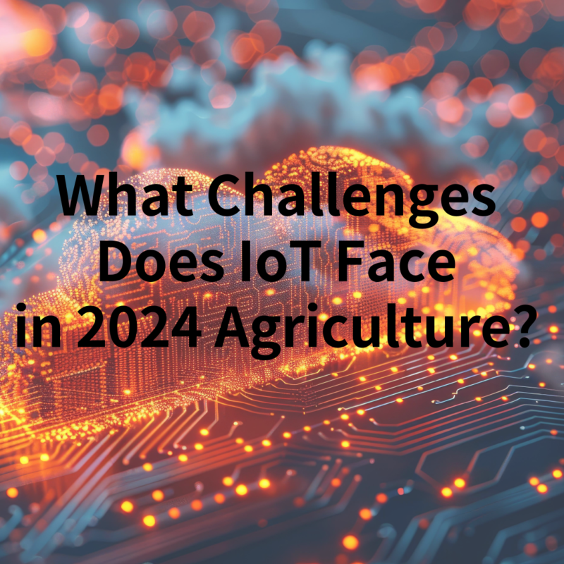 What Challenges Does IoT Face in 2024 Agriculture