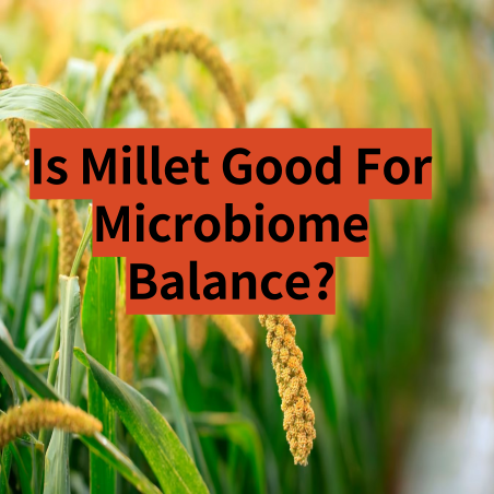 Is Millet Good for Microbiome Balance