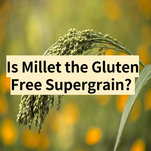 Is Millet the Gluten Free Supergrain