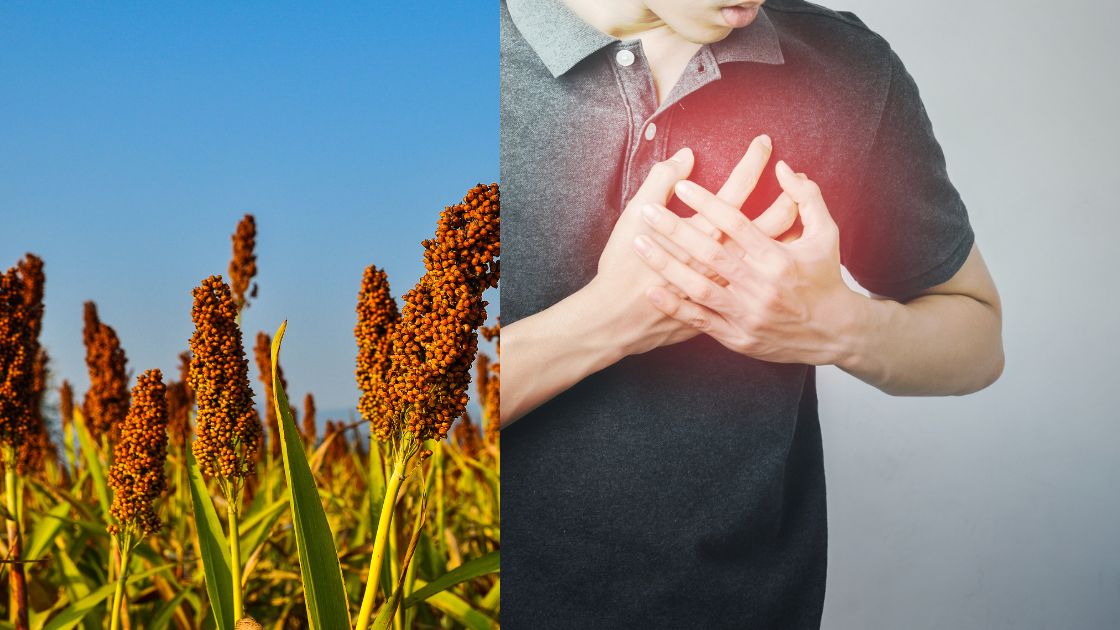 Millets and Heart Health
