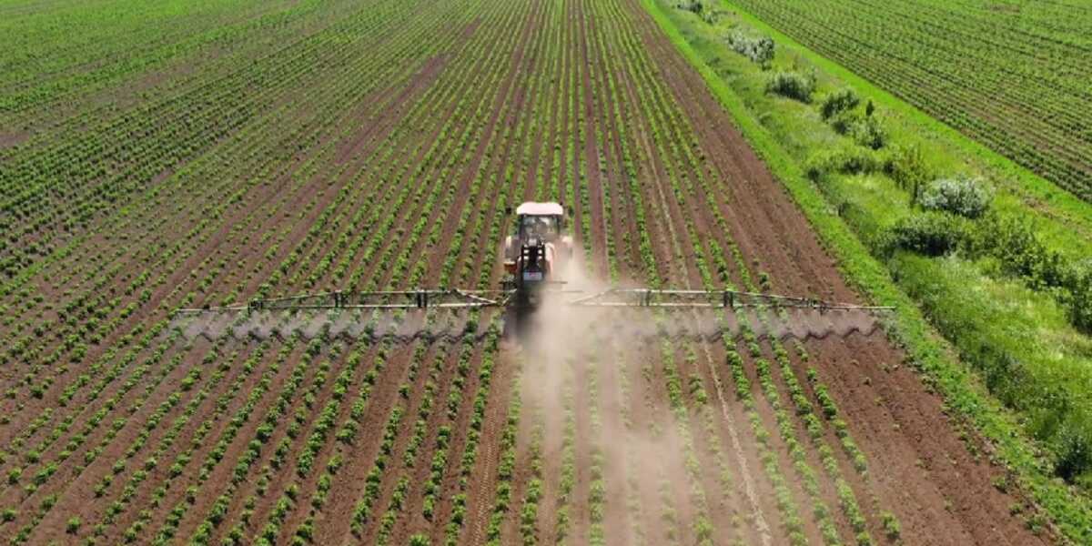 AI in Precision Pesticide Application for Indian Agriculture