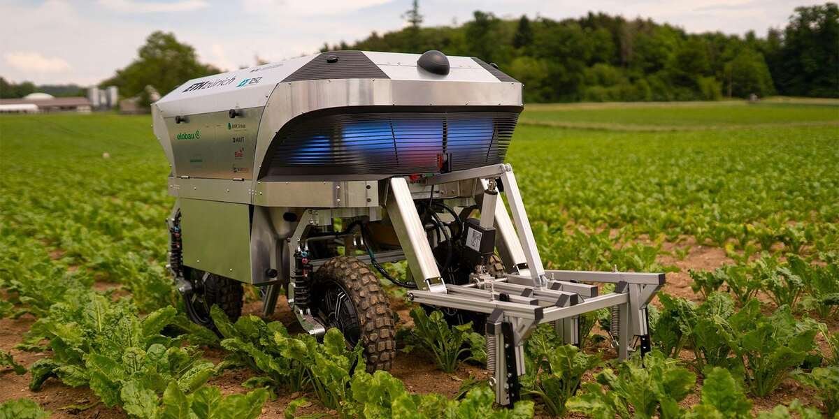 Robotics for Weed Removal