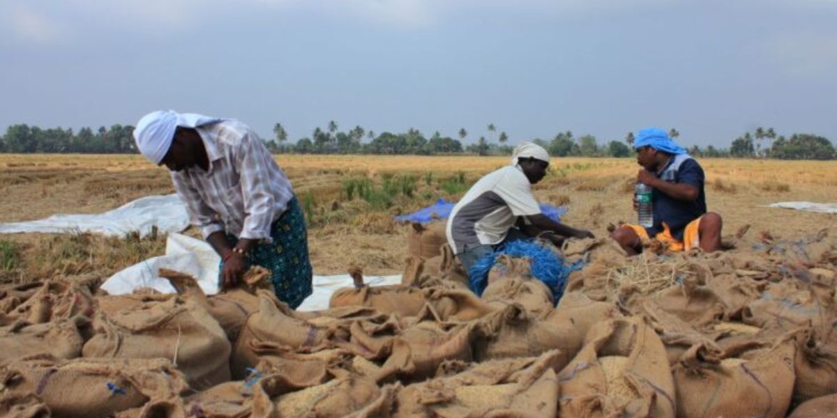 Role of AI in Ensuring Food Security in India