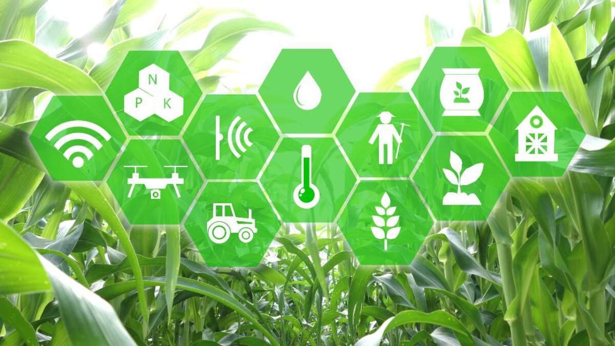 The Rise of IoT In Agriculture