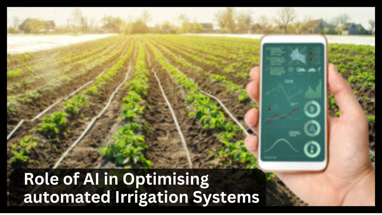 The Role of Artificial Intelligence in Optimising Automated Irrigation Systems in India 2024