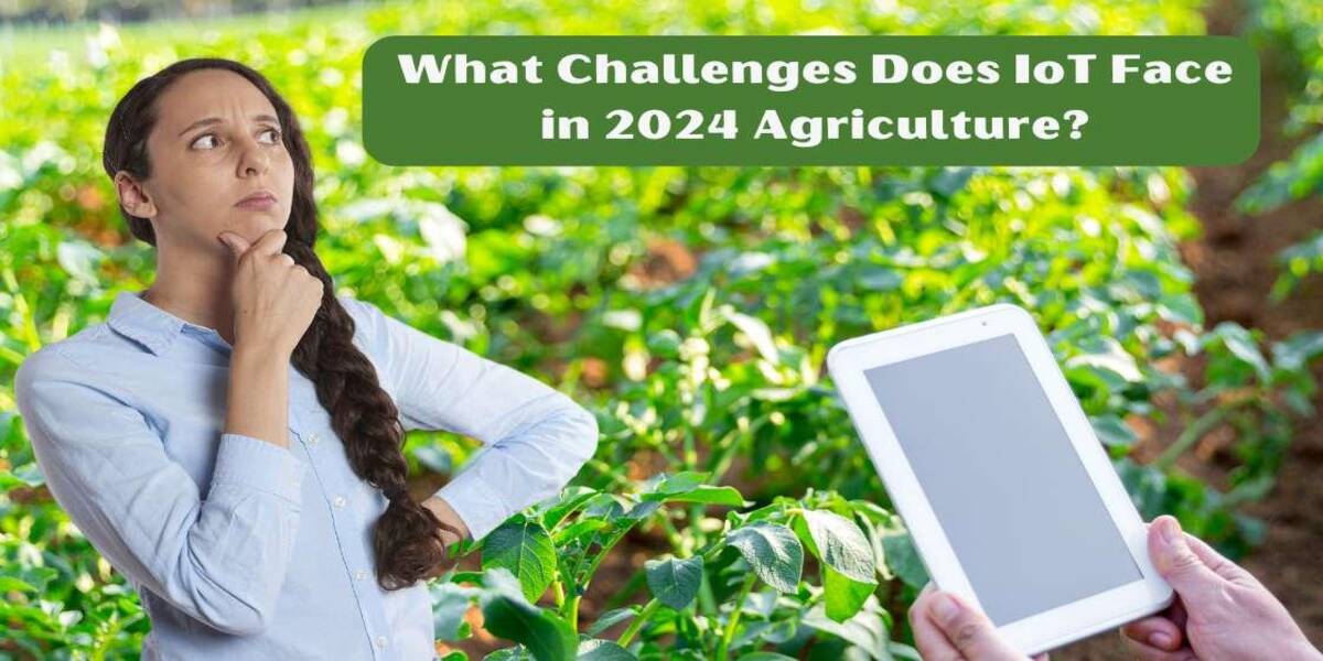 What Challenges Does IoT Face in 2024 Agriculture