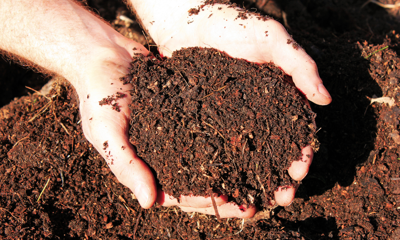 organic manure ￼How to make organic manure from kitchen waste