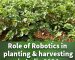 Agricultural Robotics in Automation for Planting and Harvesting