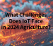 What Challenges Does IoT Face in 2024 Agriculture