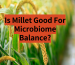 Is Millet Good for Microbiome Balance