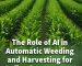 Role of AI in Automatic Weeding and Harvesting for Indian Farmers 2024